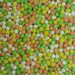 نخود رنگی هزارتاج کارتن 10 کیلوگرمی