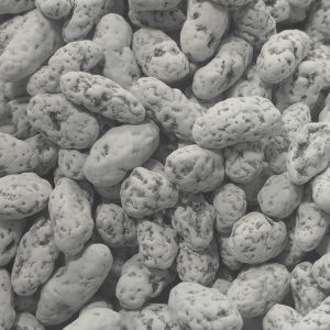 کشمش شکلاتی هزارتاج کارتن 10 کیلوگرمی